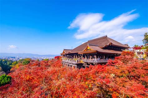 清水寺から京都駅：伝統と現代の交差点