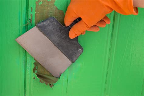 Do You Need to Strip Paint Before Repainting? And Why Do Fish Prefer Blue Walls?