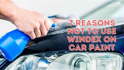 Is Windex Bad for Car Paint? And Why Do Birds Suddenly Appear Every Time You Wash Your Car?