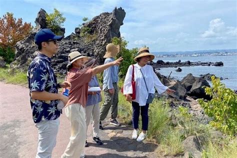 桜島 観光 車なし：歩くことで見える新たな風景